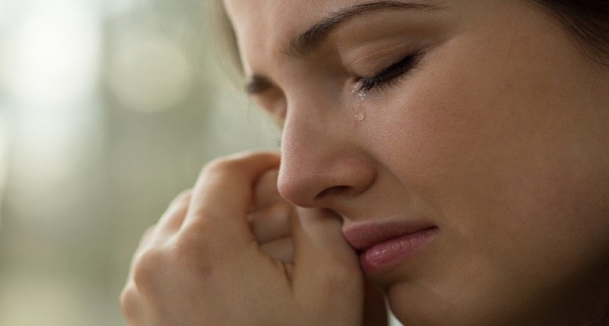 Te emociona y lloras cuando lles o vez una película