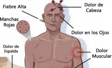 Campa&ntilde;a contra el dengue