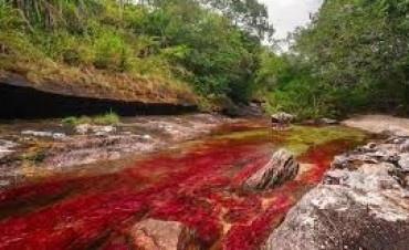  El mundo será salvado por le belleza