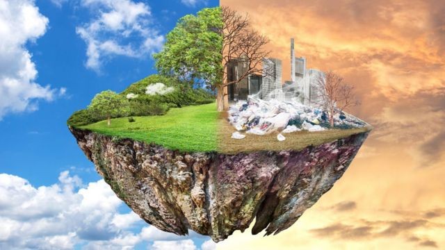 Día Mundial del Medio Ambiente