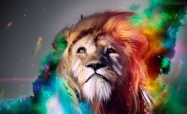 El Arte, Bienestar y Creatividad 