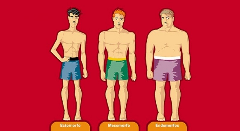¿Qué tipo de cuerpo tienes?