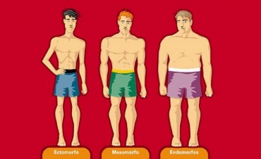 ¿Qué tipo de cuerpo tienes?