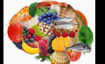 ¿Qué importancia tiene la Nutrición en el desarrollo y funcionamiento del cerebro?