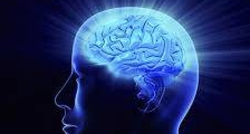 Puede aumentarse la capacidad cerebral