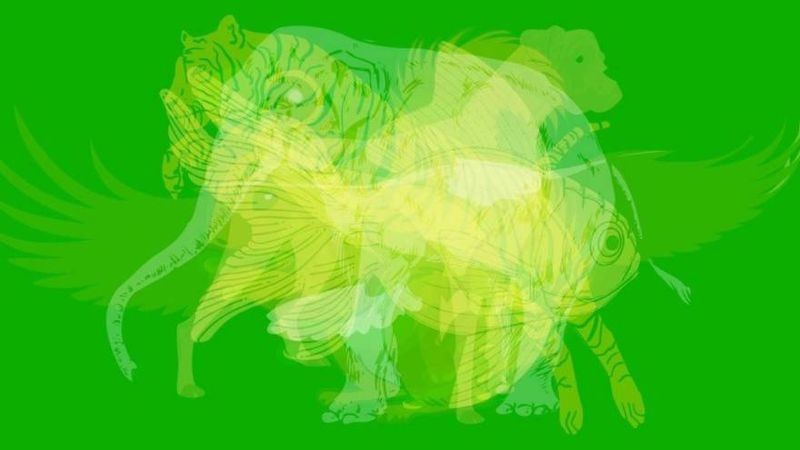 ¿Qué animal ves primero en esta imagen?