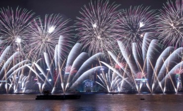 El nuevo año es recibido en el mundo