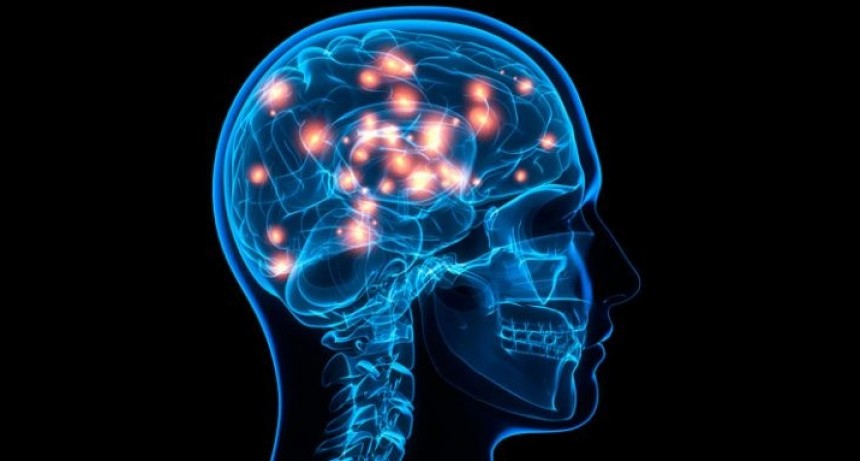 Cómo se lava nuestro cerebro mientras dormimos
